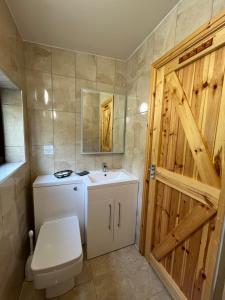 ein Badezimmer mit einem WC, einem Waschbecken und einer Holztür in der Unterkunft Neuadd Villa in Llanwnen