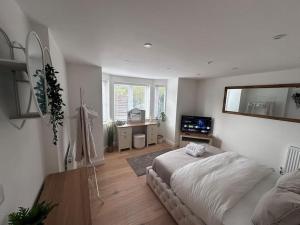 a bedroom with a bed and a television in it at 2bed Ground Floor flat + garden in Sunningwell