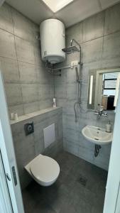 a bathroom with a toilet and a sink at Simba Apartment A in Smarjeske Toplice