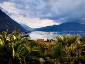 a view of a lake with palm trees and mountains at Green Village Panorama Bay in Gornji Orahovac