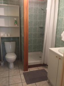 a bathroom with a toilet and a shower at Un havre de paix à la campagne près Vulcania in La Goutelle