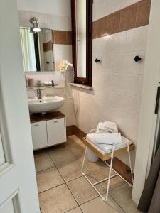 a bathroom with a sink and a toilet and a mirror at Agriturismo Corte San Girolamo in Mantova