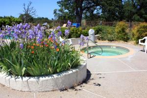 un jardín con flores y una pequeña piscina en Shenandoah Inn, MAJOR CREDIT CARDS REQUIRED for check in, en Plymouth