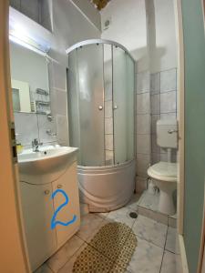 a bathroom with a shower and a sink and a toilet at Old Town Studio in Braşov