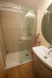 y baño con ducha y lavamanos. en Vineyard cottage Majolka en Novo Mesto
