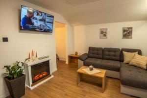 a living room with a couch and a fireplace at Vineyard cottage Majolka in Novo Mesto