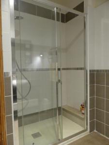 La salle de bains est pourvue d'une douche avec une porte en verre. dans l'établissement VIC-de-CHASSENAY, 