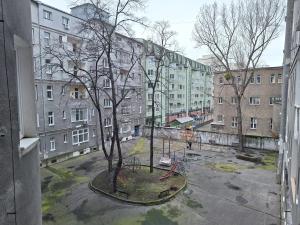 ein Baum mitten in einer Stadt mit Gebäuden in der Unterkunft Apartmán Sarlot (13) in Bratislava