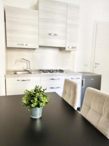 - une cuisine avec une table et une plante en pot dans l'établissement Palazzo Elios, à Parme