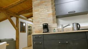 Köök või kööginurk majutusasutuses Barther Dachstudio