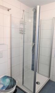 a shower with a glass door in a bathroom at Ferienwohnung Kurparkblick in Bad Windsheim