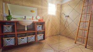ein Bad mit einem Waschbecken und einer Dusche in der Unterkunft La Maison de Rosalie, meublé de tourisme classé in Sainte-Rose