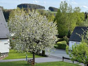 un arbre avec des fleurs blanches dans une cour dans l'établissement Pension Sonnenheim, à Winterberg