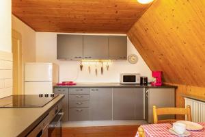 Kuchyň nebo kuchyňský kout v ubytování Ferienwohnung Fischer