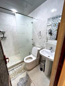 a bathroom with a toilet and a sink at Rahmat guesthouse in Bukhara