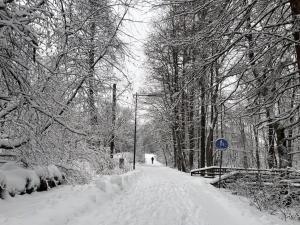 a snow covered road with snow covered trees and a sign at Ingas, Espoo- Whole apartment in Espoo