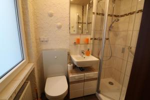 a bathroom with a toilet and a shower and a sink at Pension Sonnenheim in Winterberg