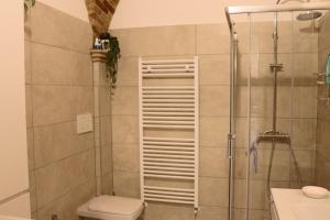 a bathroom with a shower and a toilet and a sink at LA CASETTA DI LULÚ in Rocca San Giovanni +12 photos