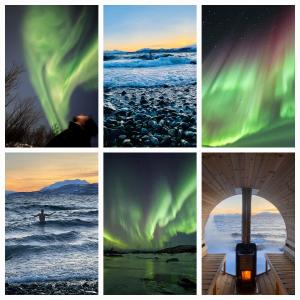 quattro immagini diverse dell'aurora boreale nel cielo di Yggdrasil Farmhotel Retreat, Spa & Yoga a Straumsbukta