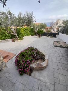 Zahrada ubytování Casa Cari