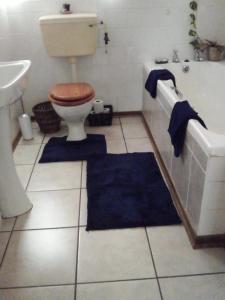 a bathroom with a toilet and a tub and a sink at Biedouw Padstal & Toerisme in Clanwilliam