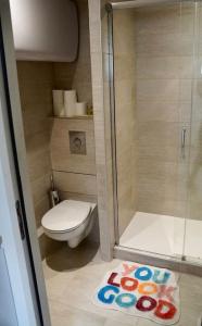 bagno con doccia, servizi igienici e tappeto di Studio rénové dans le centre a Cauterets Altre 7 foto