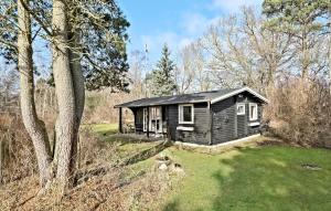 una pequeña cabaña en el bosque con un árbol en 2 Bedroom Lovely Home In Frederiksvrk, en Frederiksværk