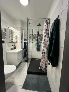 a bathroom with a toilet and a sink and a shower at Apartament Hugo in Świnoujście