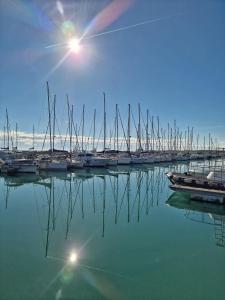 un grupo de veleros están atracados en un puerto deportivo en Da zia Giovanna Apartment, en Manfredonia