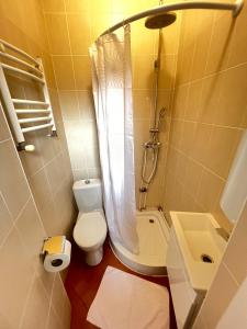 a bathroom with a shower and a toilet and a sink at Like Hostel in Chişinău