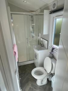 a white bathroom with a toilet and a sink at Modern homely Chalet in Tuxford in Askham