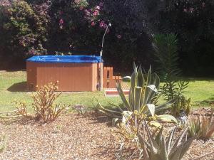 um recipiente azul sentado no meio de um jardim em Finca Las Dunas con dos Chalets con jacuzzis en primera linea de playa uno de 4 dormitorios y otro de 2 dormitorios em Rota