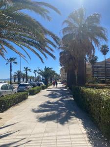 Fotografie z fotogalerie ubytování Appartement à deux pas de la mer v destinaci Canet-en-Roussillon