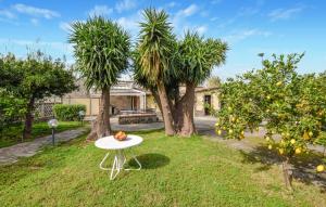 une table dans l'herbe avec deux palmiers dans l'établissement 2 Bedroom Beautiful Home In Torrenova, à Torrenova