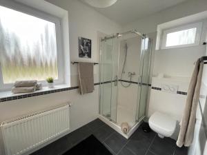 a bathroom with a shower and a toilet and a window at Apartment 1 am Werlsee, Grünheide in Grünheide