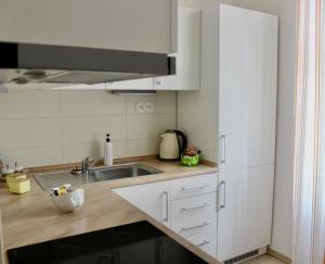 Kuchyň nebo kuchyňský kout v ubytování Apartments Verona Karlovy Vary