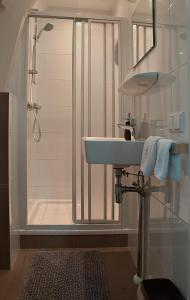 een badkamer met een wastafel en een douche bij Het Wapen van Noordwijkerhout in Noordwijkerhout