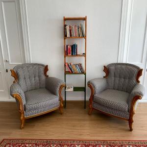 two chairs in a living room with a book shelf at Held Hotel in Antalya