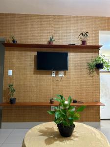 a room with a tv on a wall with potted plants at Acomodação Vovó Hélida in Patos de Minas