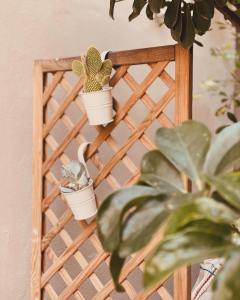 a wooden rack with four potted plants on it at FUTURA ROOM&RELAX in Termoli