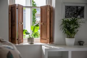 an open window with two potted plants on a table at The Grand Hotel Robertson in Robertson