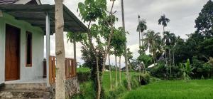Bayan Exotic Homestay外面的花园