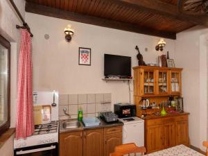 a kitchen with a white refrigerator and a stove at San Vinogradara in Donja Stubica