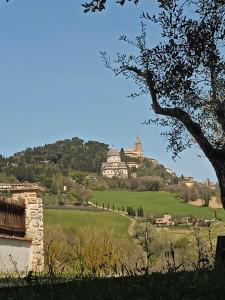 Blick auf ein Schloss auf einem Hügel in der Unterkunft OLEA casa vacanze in Todi