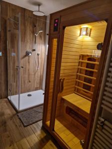 bagno con doccia e cabina doccia di Relax chata Helena Mikulášovice - České Švýcarsko na dosah a Mikulášovice