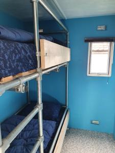 Ce lit se trouve dans un dortoir doté de 2 lits superposés et d'un mur bleu. dans l'établissement CS 61 - Vakantiepark Callassande, à Callantsoog
