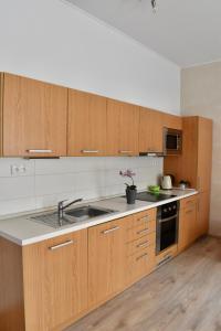 Kuchyň nebo kuchyňský kout v ubytování Apartments Verona Karlovy Vary