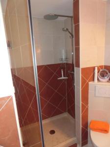 eine Duschkabine im Bad mit WC in der Unterkunft Ferienwohnung Brunnsteinnest in Mittenwald