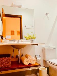 a bathroom with a sink and a toilet and a mirror at Tília Pousada de Charme in Campos do Jordão