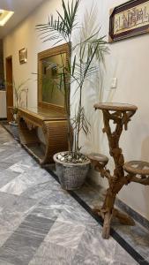 un soggiorno con specchio e pianta in vaso di Midways Guest House and Hotels a Islamabad
